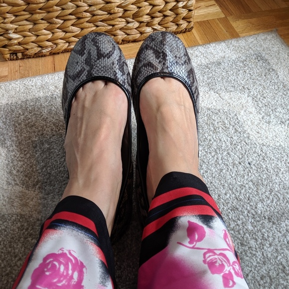 Charlotte Russe Snakeprint Flats - Picture 2 of 8